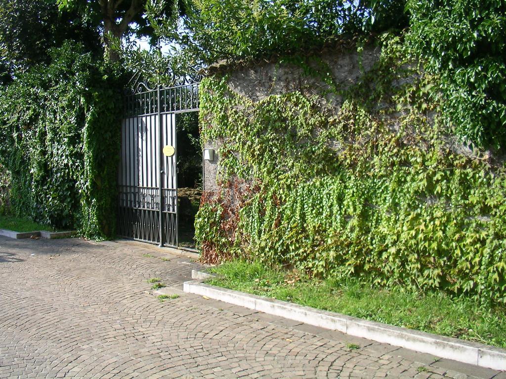 La Patirana Guesthouse Zandobbio Exterior photo